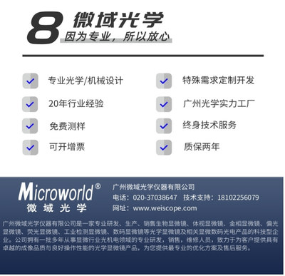 广州net软件开发定制,广州软件开发程序