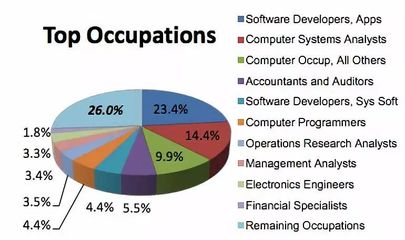 分析电脑的软件开发,电脑软件开发用什么编程语言