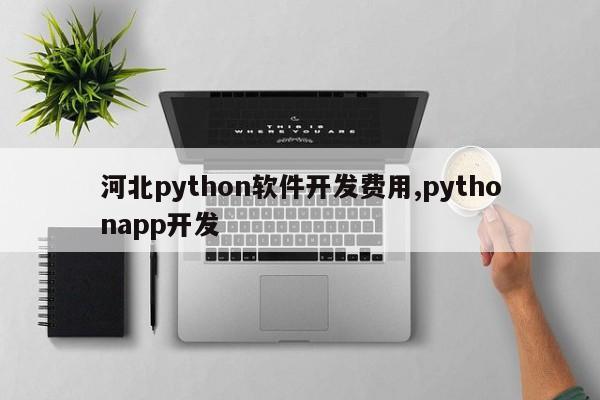 河北python软件开发费用,pythonapp开发