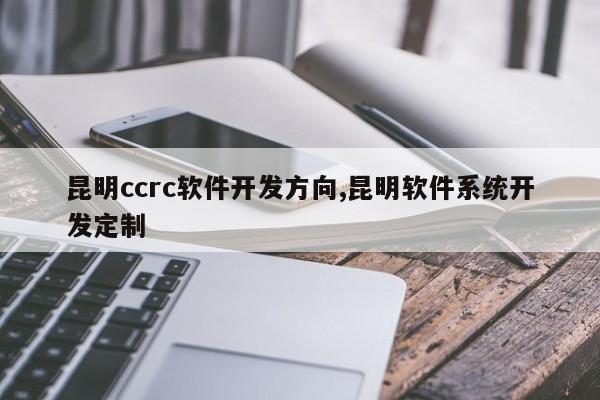 昆明ccrc软件开发方向,昆明软件系统开发定制