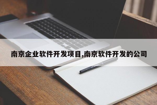 南京企业软件开发项目,南京软件开发的公司