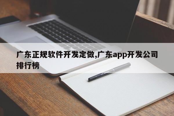 广东正规软件开发定做,广东app开发公司排行榜