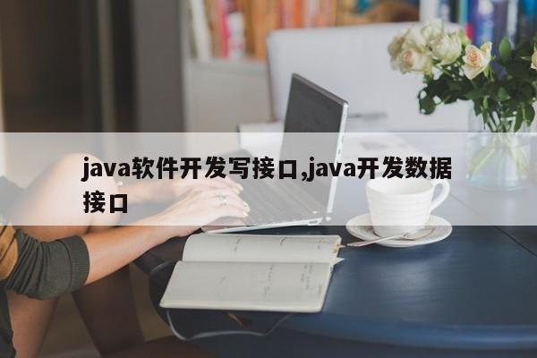 java软件开发写接口,java开发数据接口