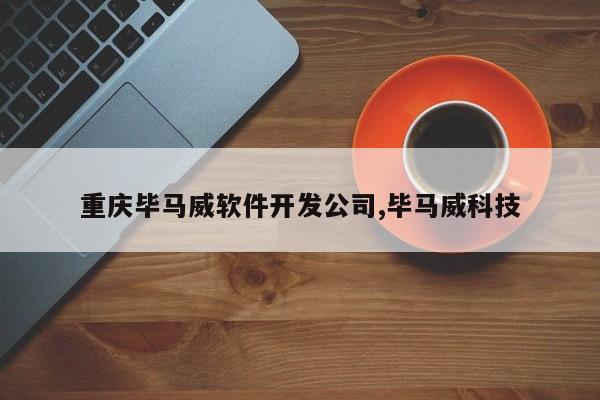 重庆毕马威软件开发公司,毕马威科技